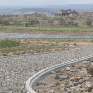 longonot1