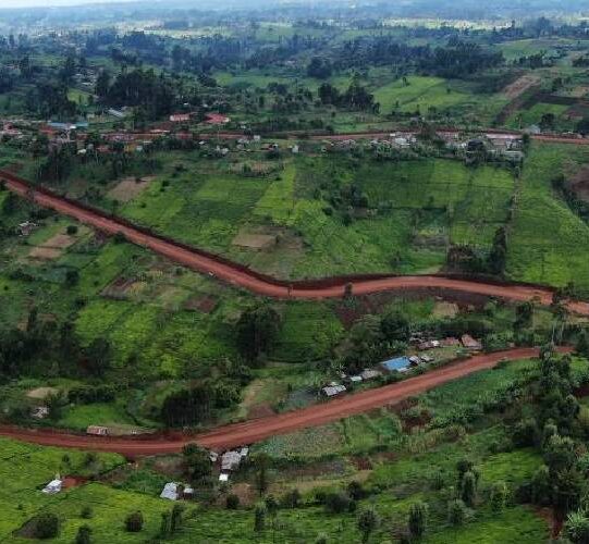 maumau
